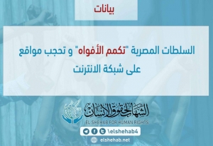 الشهاب لحقوق الإنسان يطالب الانقلاب بإلغاء حجب المواقع الإلكترونية