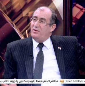 الدكتور جمال حشمت : دعاوي اسقاط الجنسية تؤكد إستهلاك نظام الانقلاب لمعظم أدواته